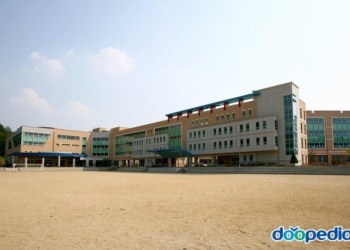 [학교]태장중학교-24년도 기계설비 성능점검