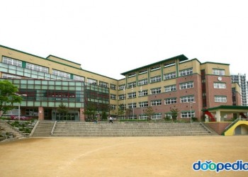 [학교]동화초등학교-24년도 기계설비 성능점검